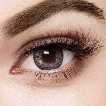 FreshLook One Day GRAY 10 szt.