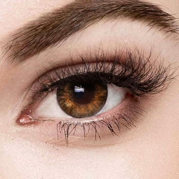 FreshLook One Day PURE HAZEL 10 szt.